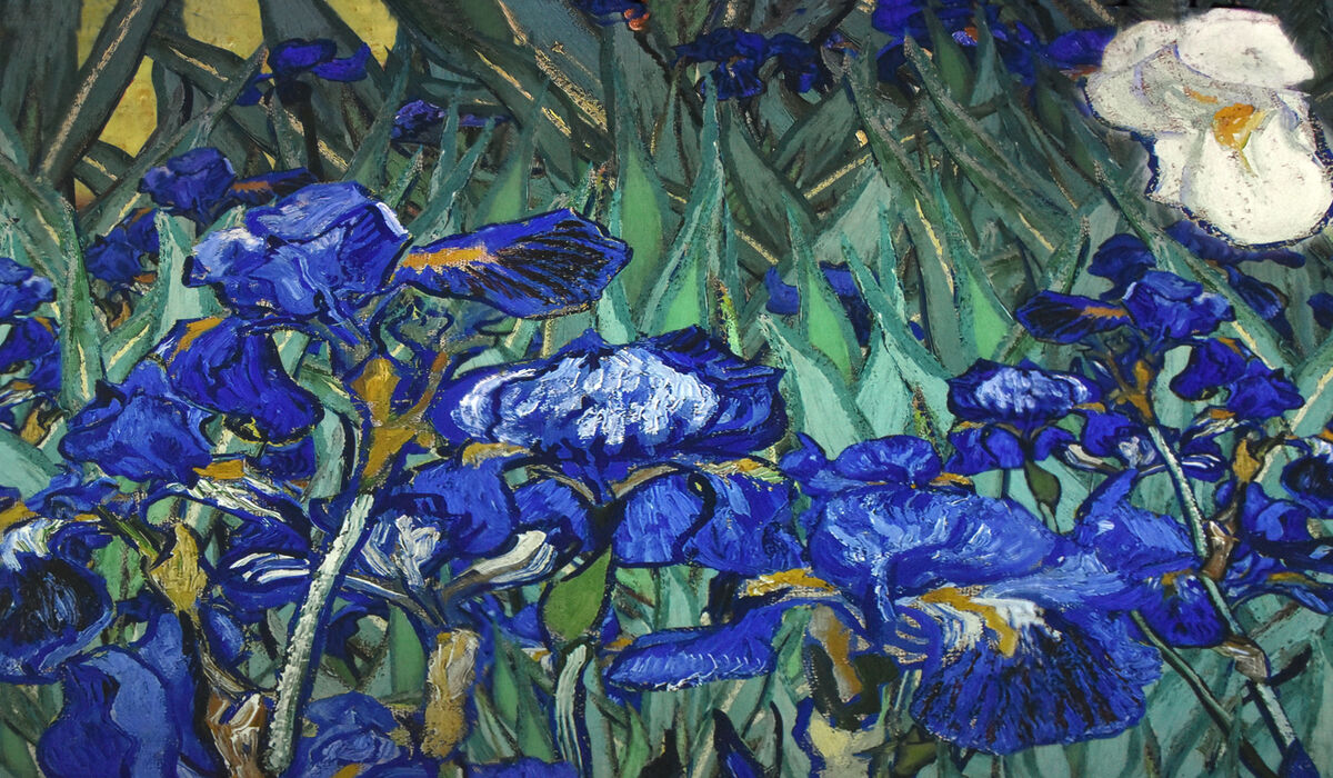 This is an animated depiction of Van Gogh's Irises...