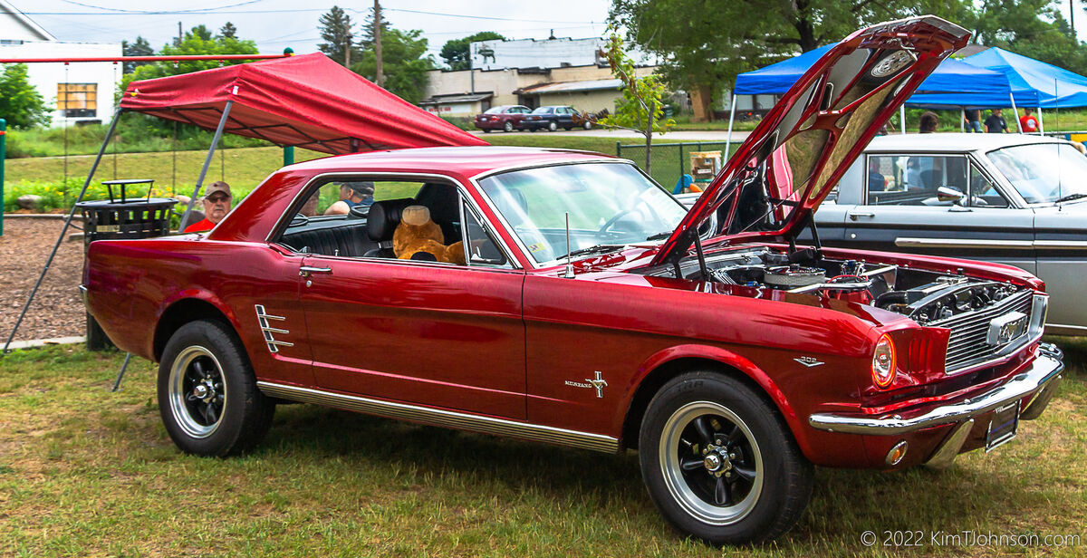1966 Ford Mustang, 302...