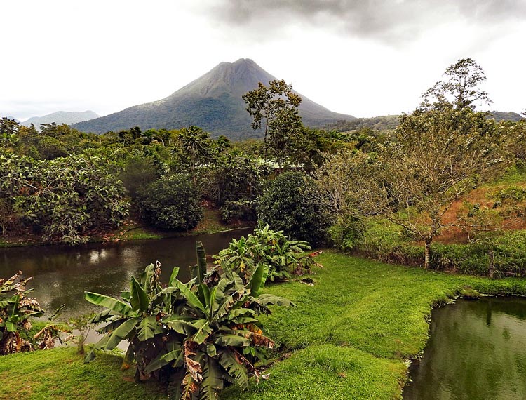 Arenal Volcano  View from terrace in front of my C...