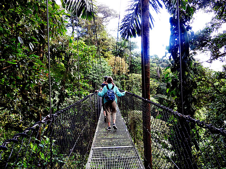 Hanging Bridges  Part of trail takes you into and ...
