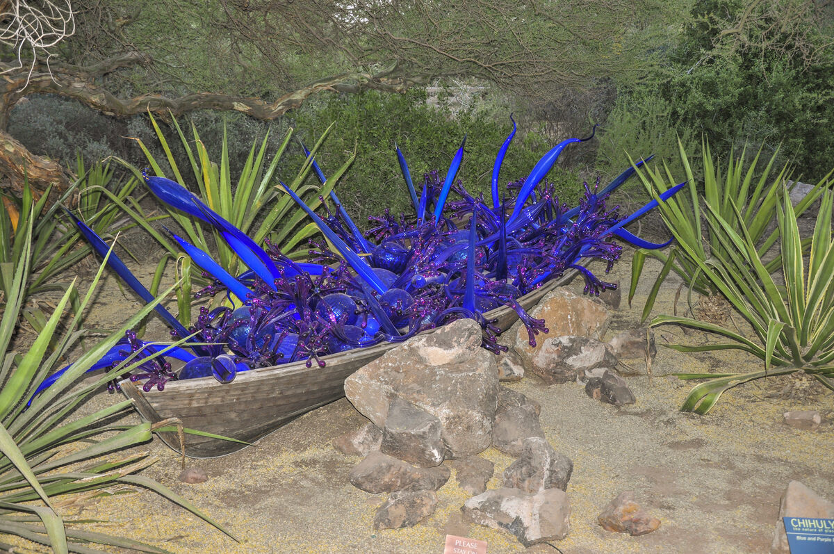 not in the water, but Chihuly exhibit, at the Dese...