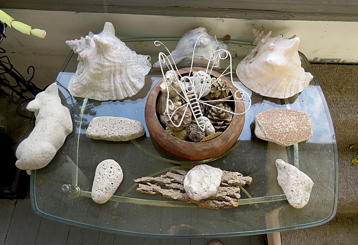 shells and stones...
