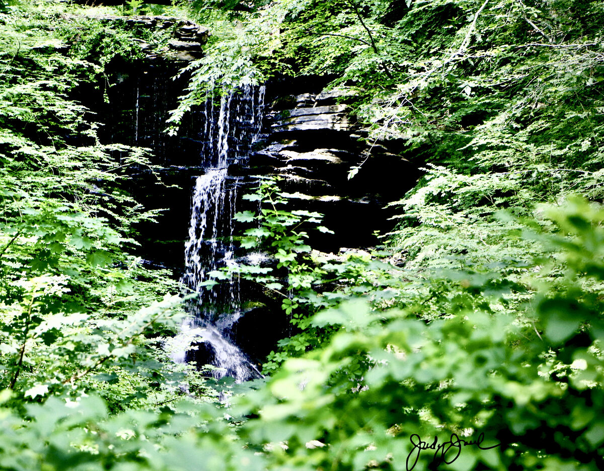 An over grown , lovely waterfall located in East H...