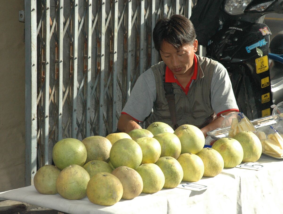 "Melon Choly"  Hanoi...