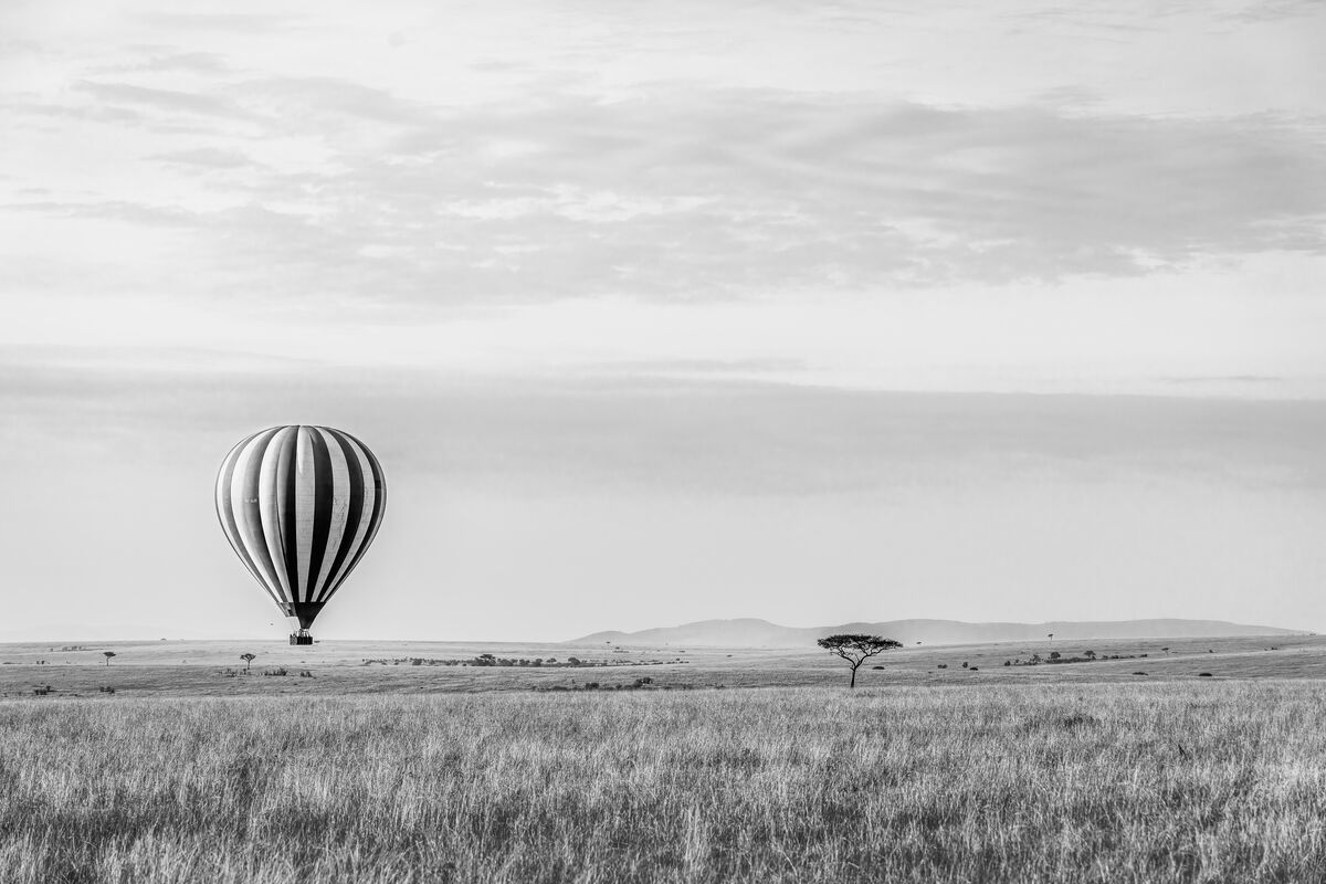 morning-balloon-i-liked-both-the-color-and-this-version-hope-you-enjoy