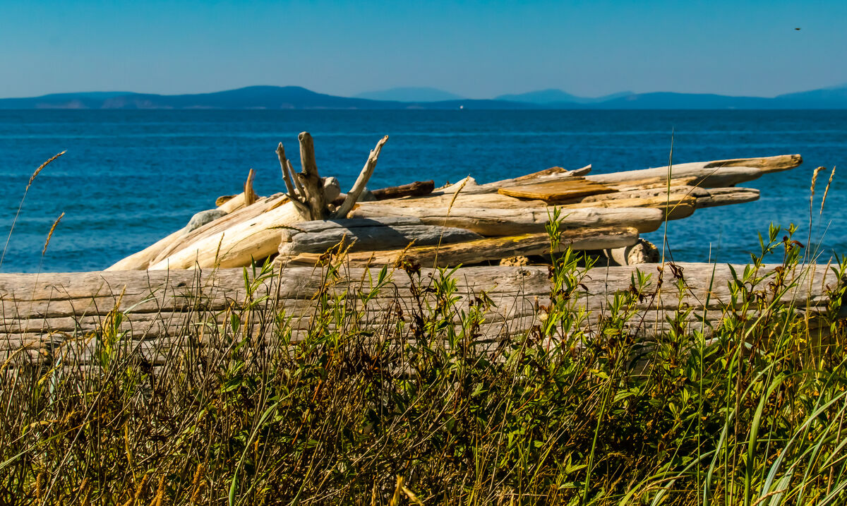 Joeseph Whidbey S.P./San Juan Islands in the dista...