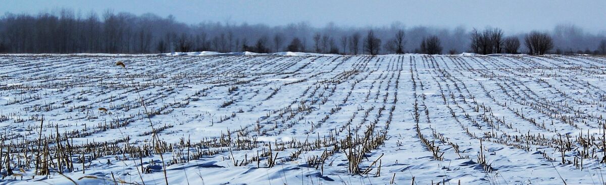 Lines leading to Ice Fog forming (temp -25 F)...