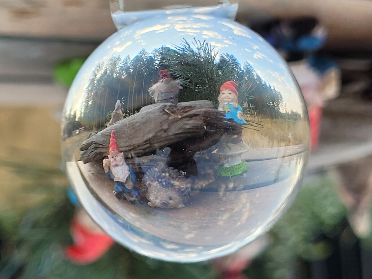 Lensball photo of my gnomes at Midtown Park in Bon...