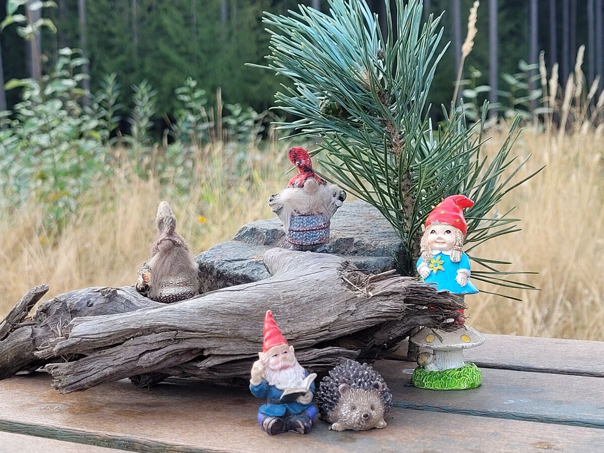 Staged setting for my gnomes at Midtown Park....