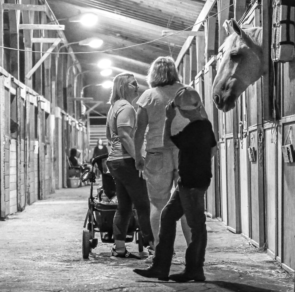 Visiting the stable Night shot Canfield County Fair...