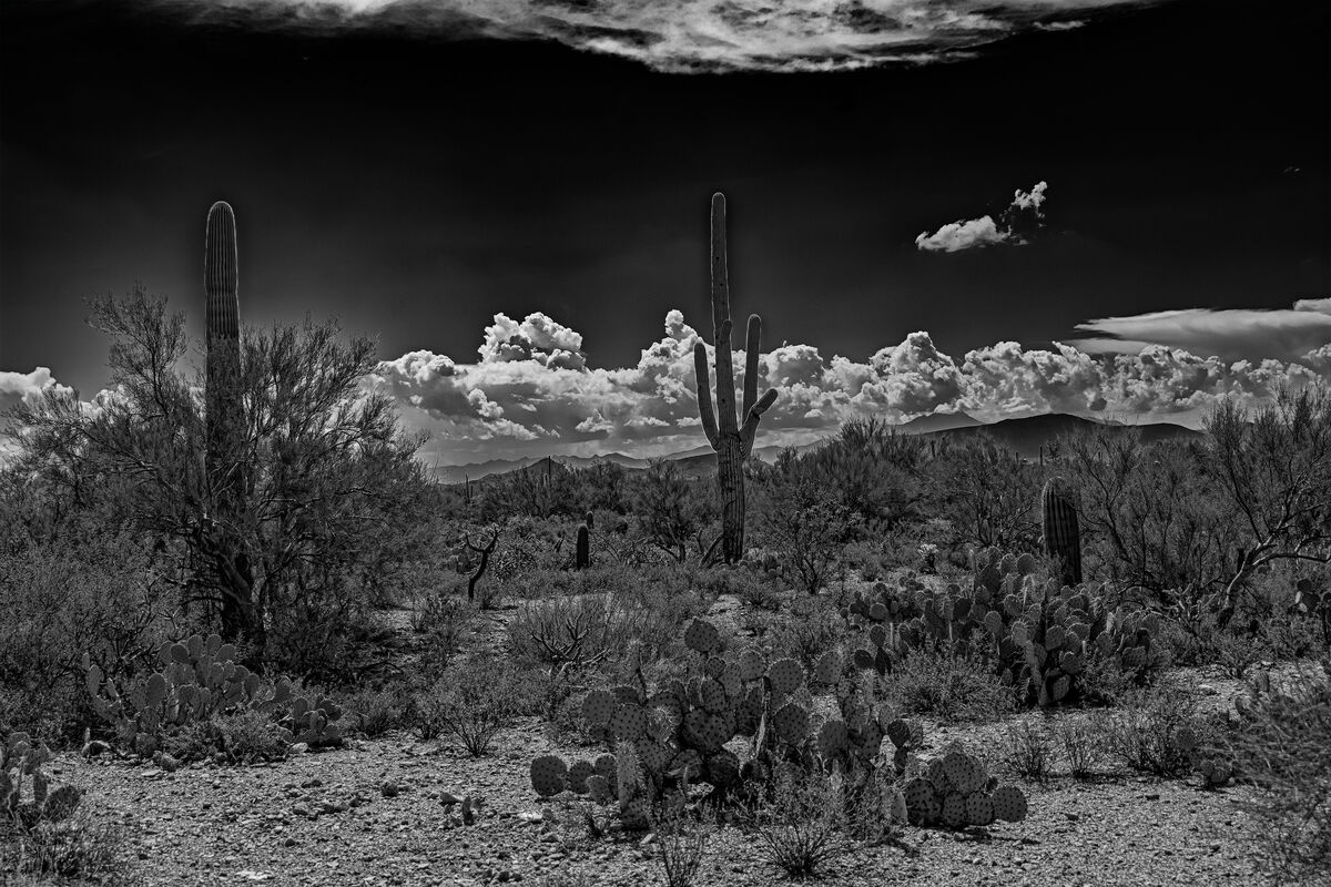 Desert Scape In B W Photoshop And NIK Silver Efex 3 desert-scape-in-b-w-photoshop-and-nik-silver-efex-3