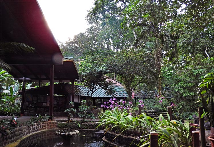 Selva Verde Lodge....