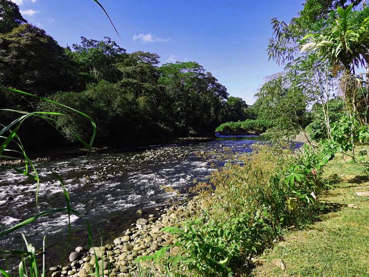 Sarapiqui river  runs along lodge property....