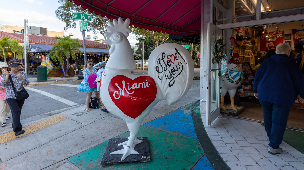 One of the many roosters in Little Havana...