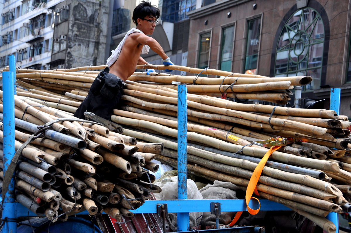 7 - Worker on a truck handling bamboo poles used f...