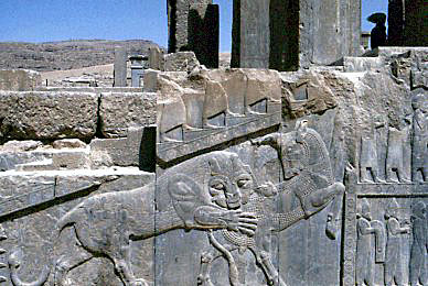 Persepolis: Bas-relief on Northern Stair to the Ap...