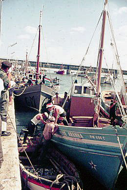 Praia Da Rocha   Fishing Fleet....