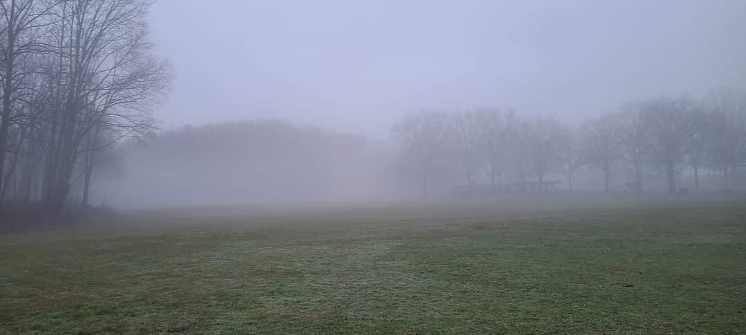 Speaking of fog: Very foggy morning at Firestone Metro Park...