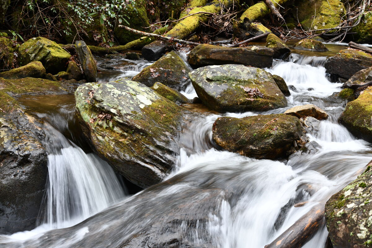 Down stream from Anna Ruby Falls...