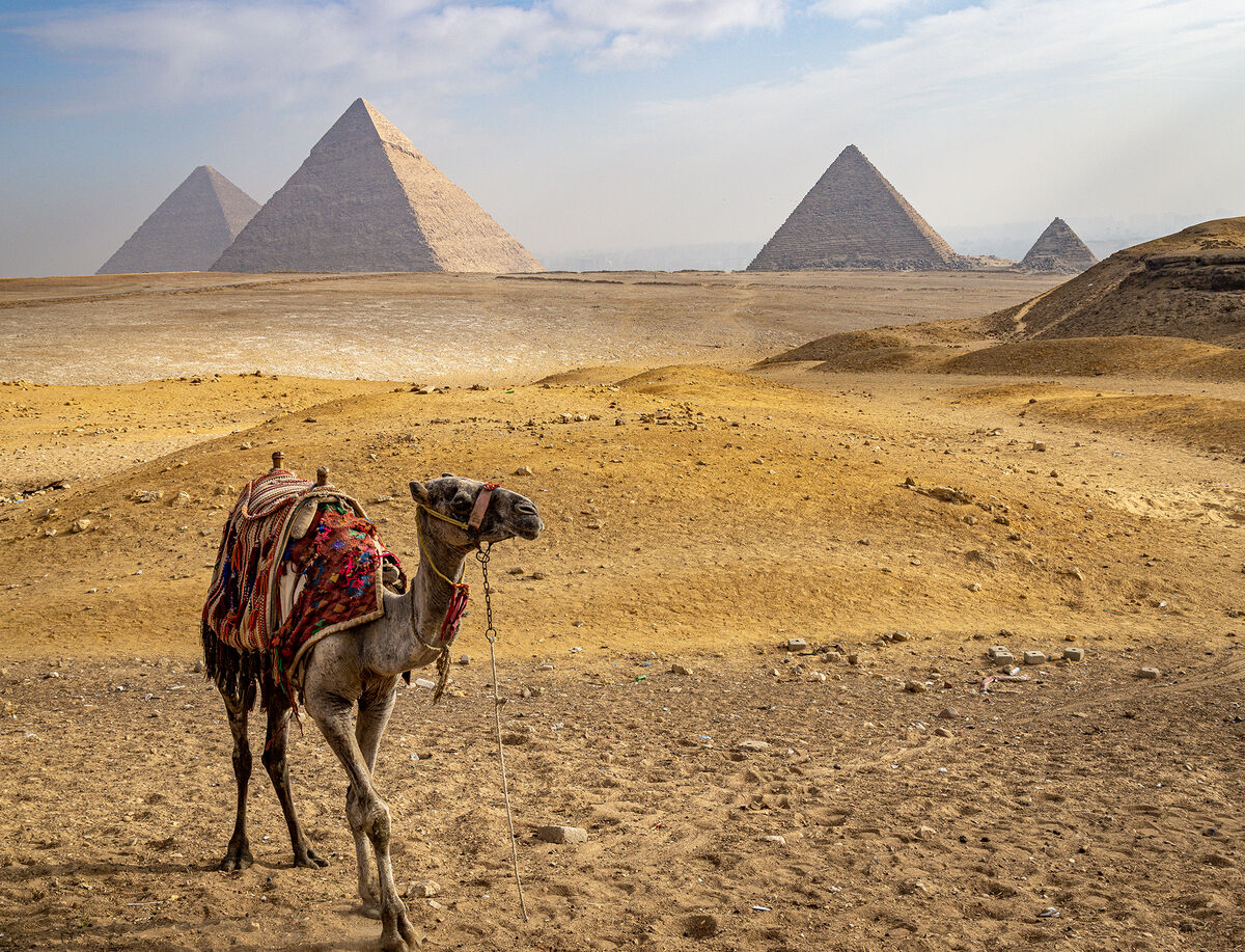 Four pyramid and a camel...