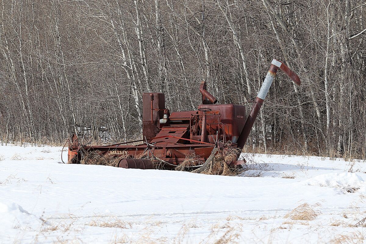 Abandoned farm machinery, a Massey Harris combine ...