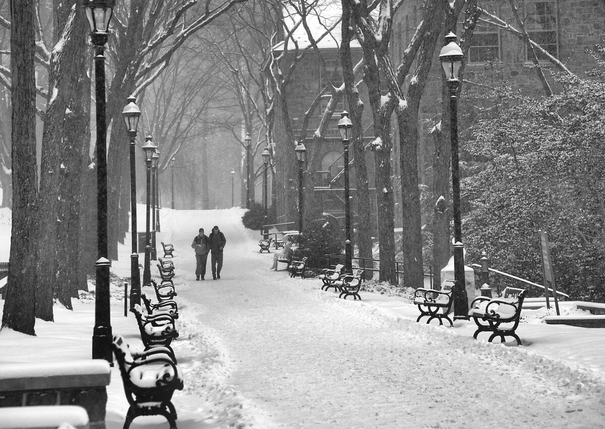 A Winter's Walk...