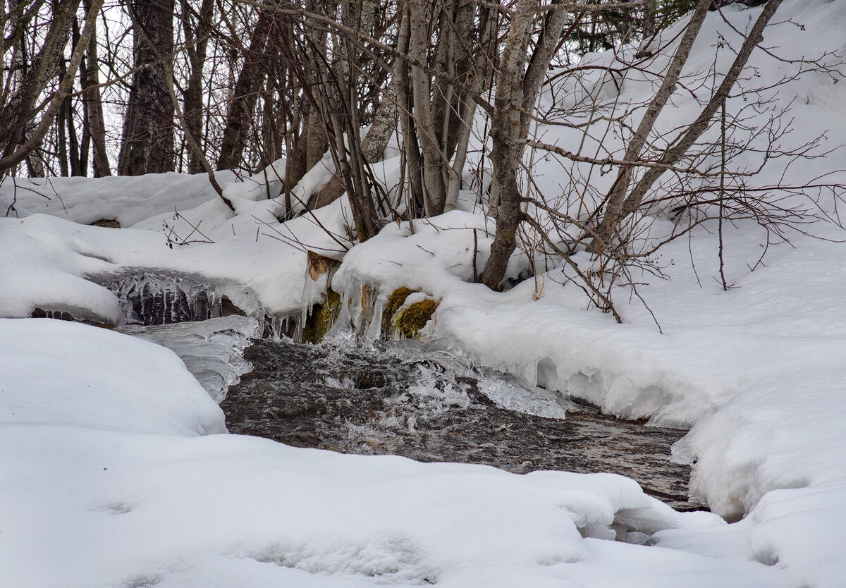 Cold little stream we came across...