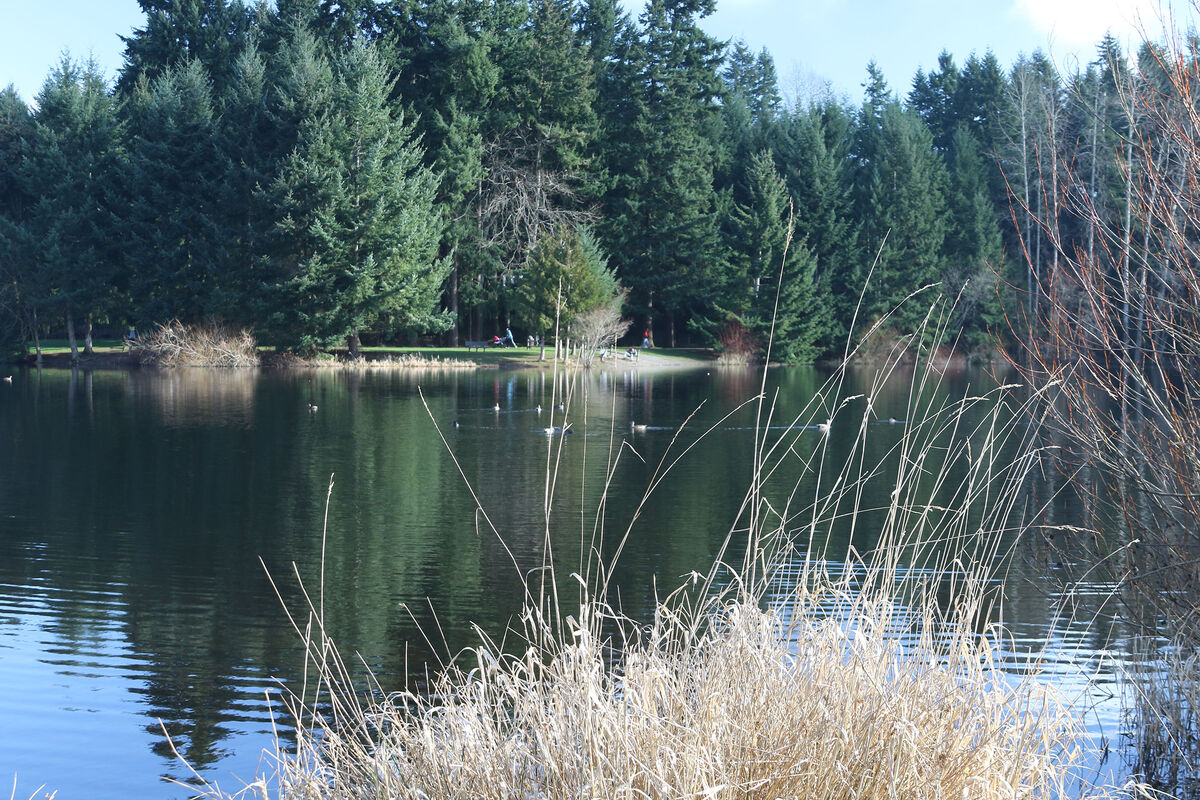 My Image, Your View Bradley Lake Park Bradley Lake was a property