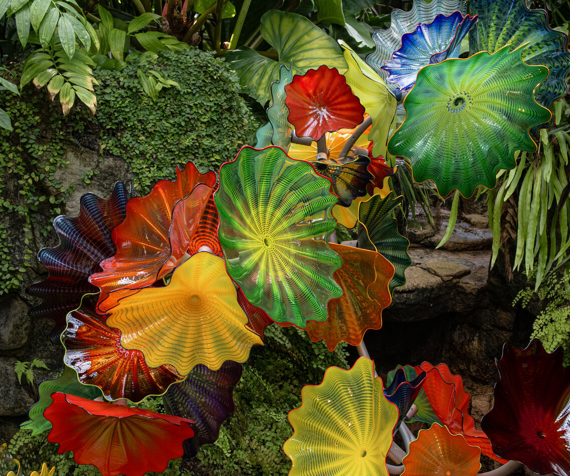 Blown glass by Dale Chihuly...