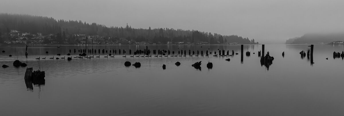 9.  Lake Whatcom(Bellingham, Washington) with Cana...