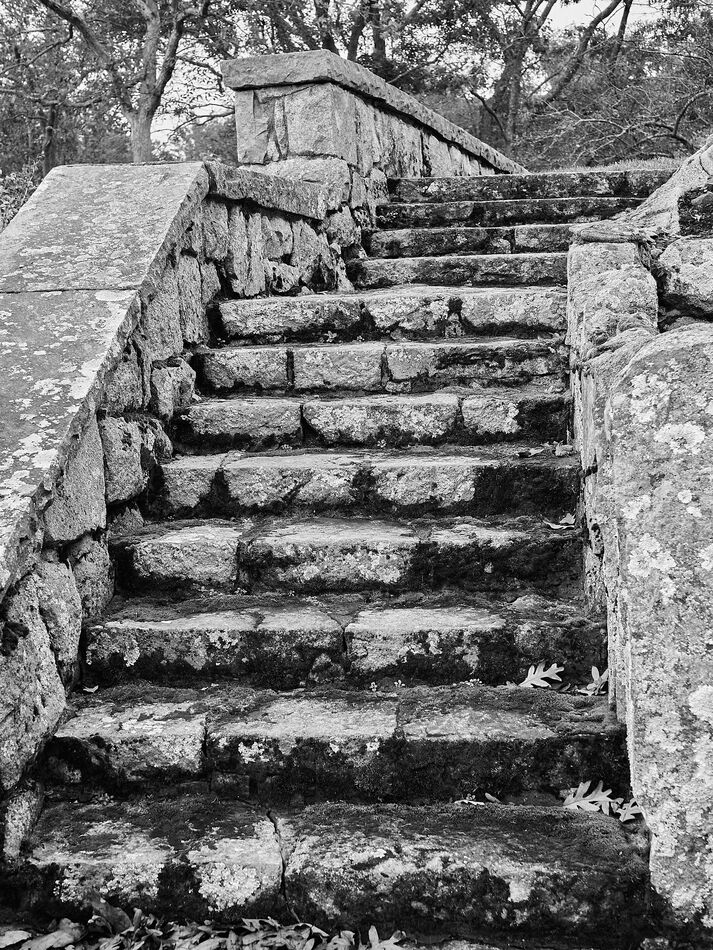 Old steps.  The moss was such a ghastly shade of g...