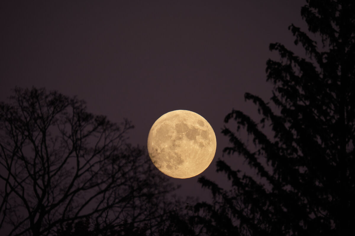 Tonight's Full Moon In Ct: Took A Few Photos Of The Moon As It Was 