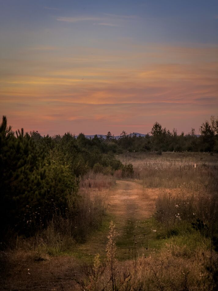 Twilight - nature preserve in our town...