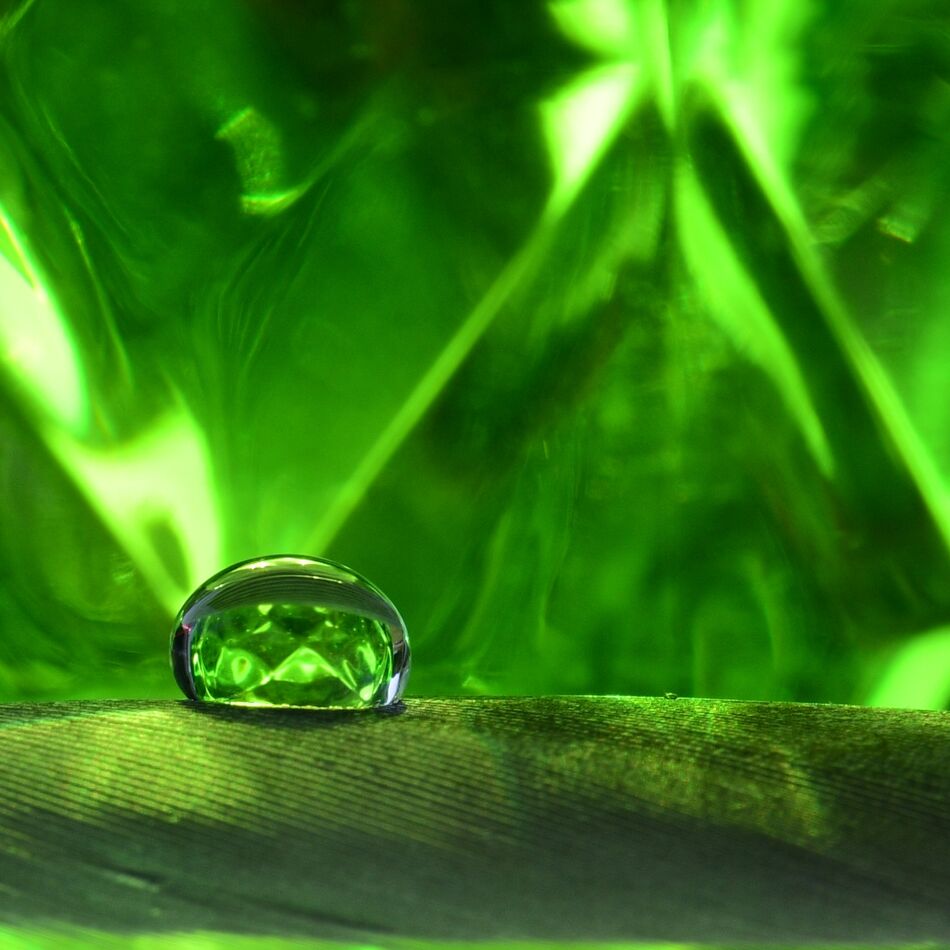 1. Green glass, droplet on a feather from our parr...