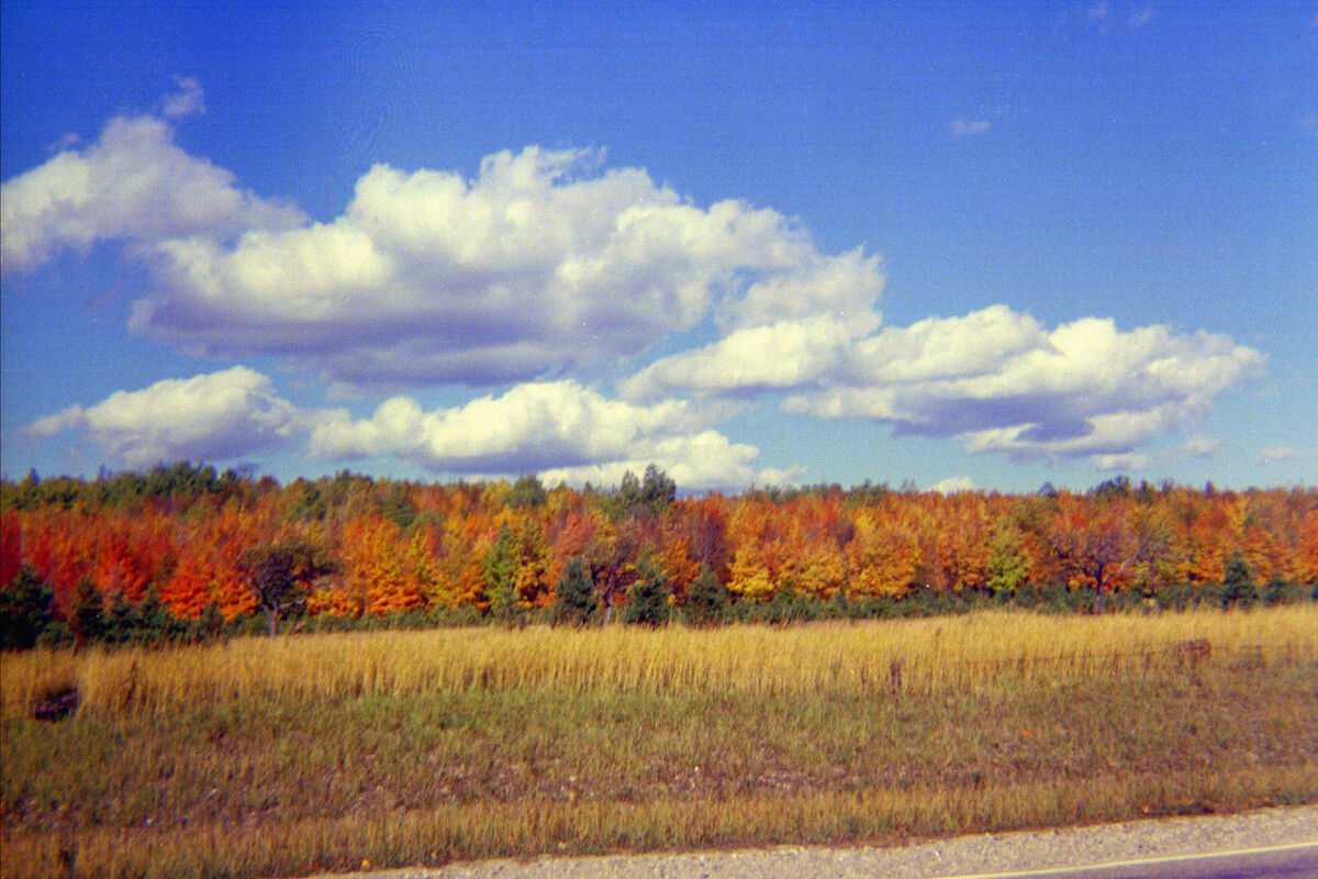 Fall colors near Lewiston, Michigan - October 1967...