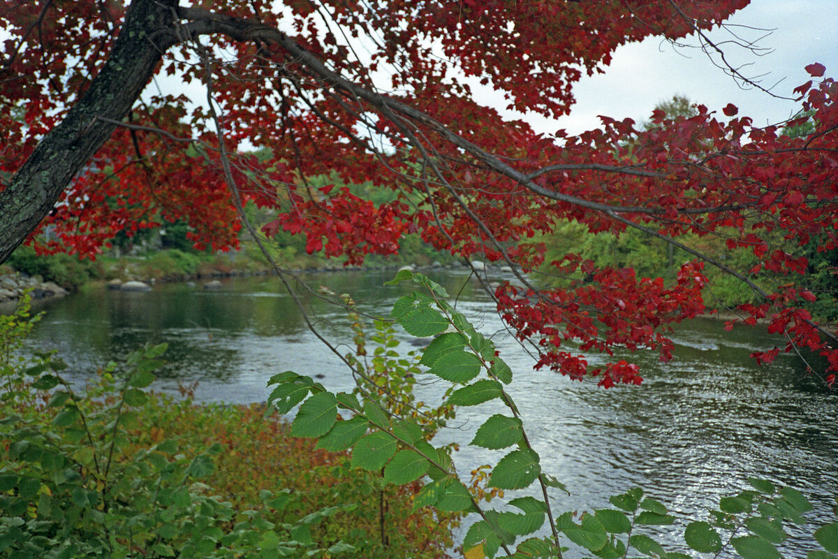 Some Fall colors by the Contoocook River, near Hen...