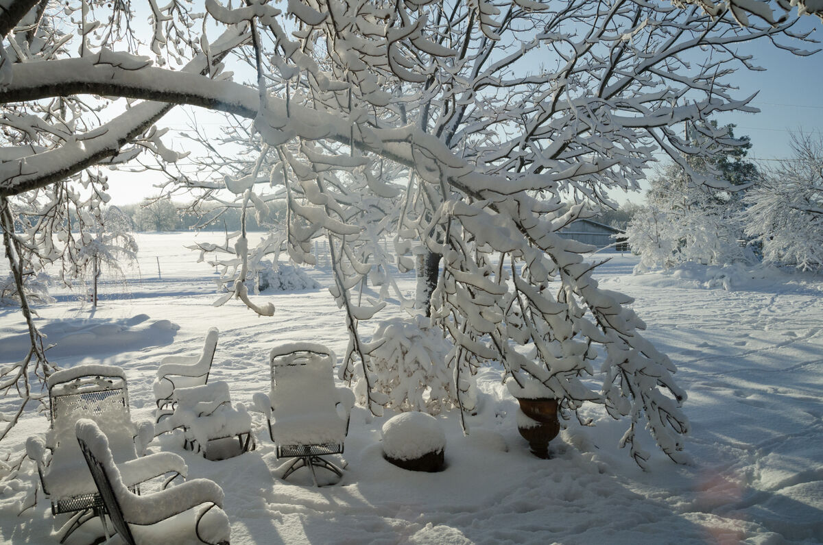 My snowy front yard...