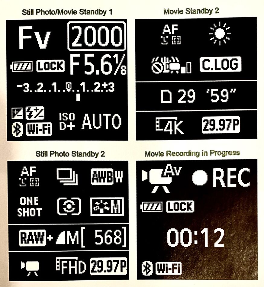 Canon R6 flashing code Does anyone know what this flashing code mean