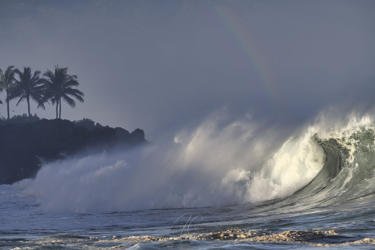 Surf Is UP !Big Wave Day - Waimea , NS Oahu 11/24 /23: The Laid-back ...