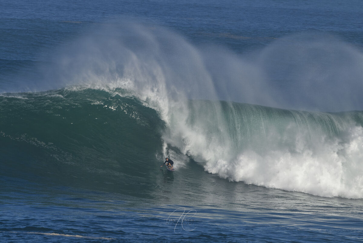 Surf Is UP !Big Wave Day - Waimea , NS Oahu 11/24 /23: The Laid-back ...