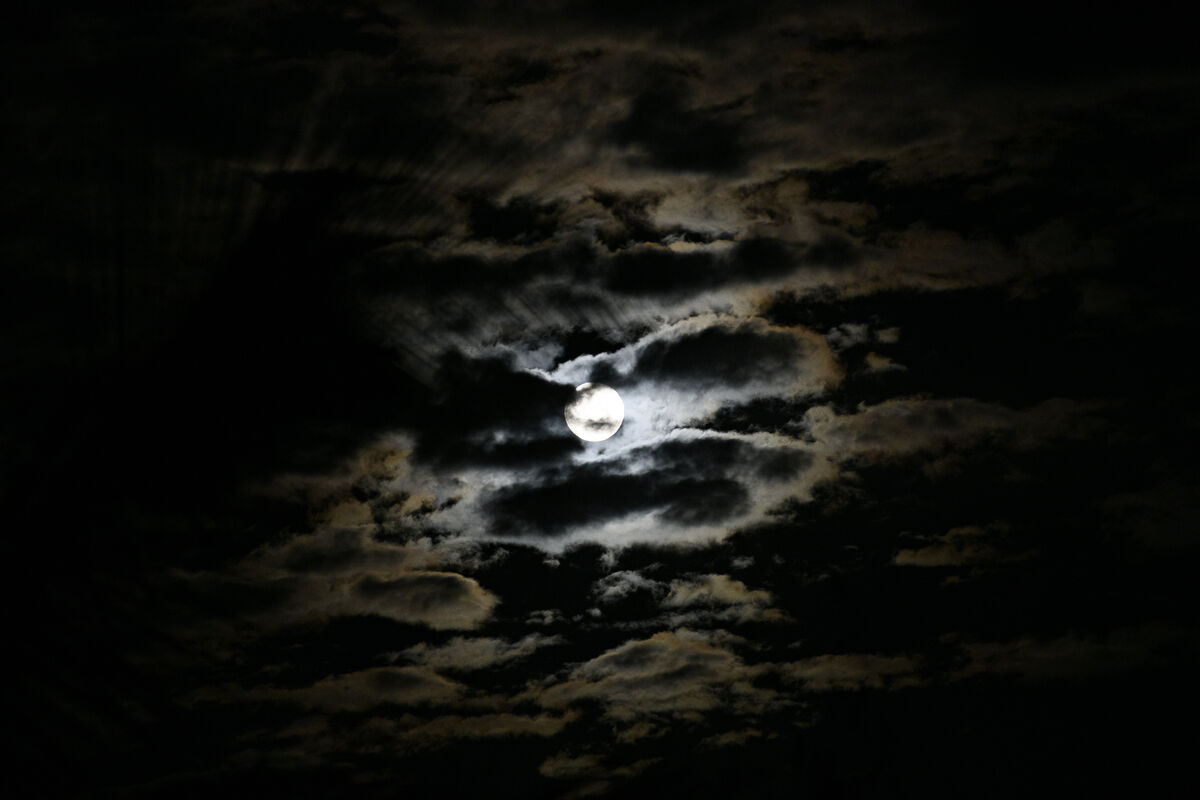 moon-rise-behind-the-palm-tree-and-clouds-the-moon-rise-tonight-was