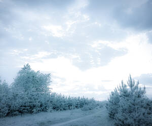 Frosty winter...