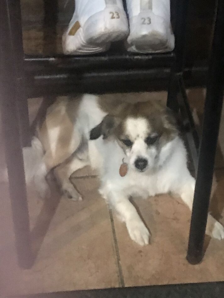 Chock Full Idiom at Jeremy Brooks blog