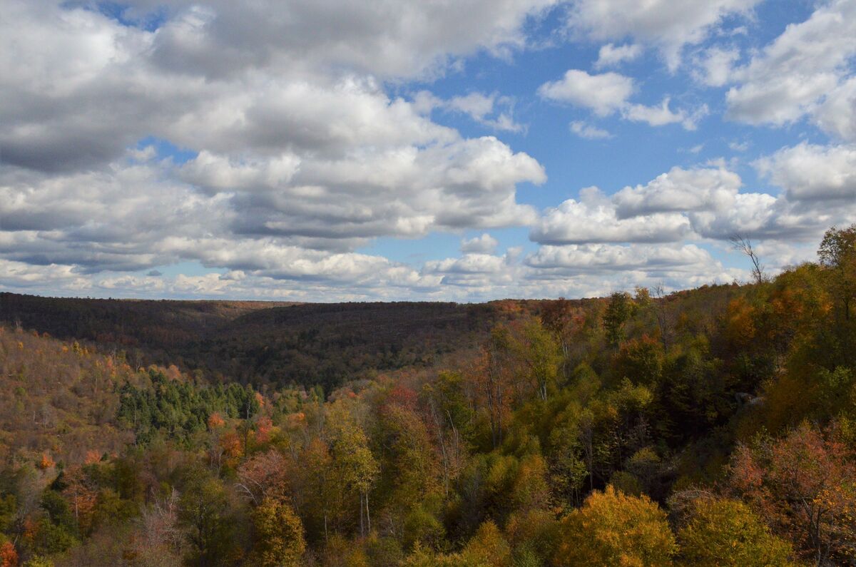 Kinzu Viaduct: The 339-acre Kinzua Bridge State Park, located in McKean ...