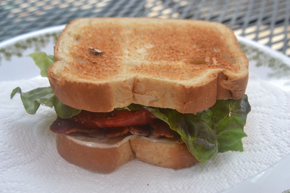 BLT and a fly...