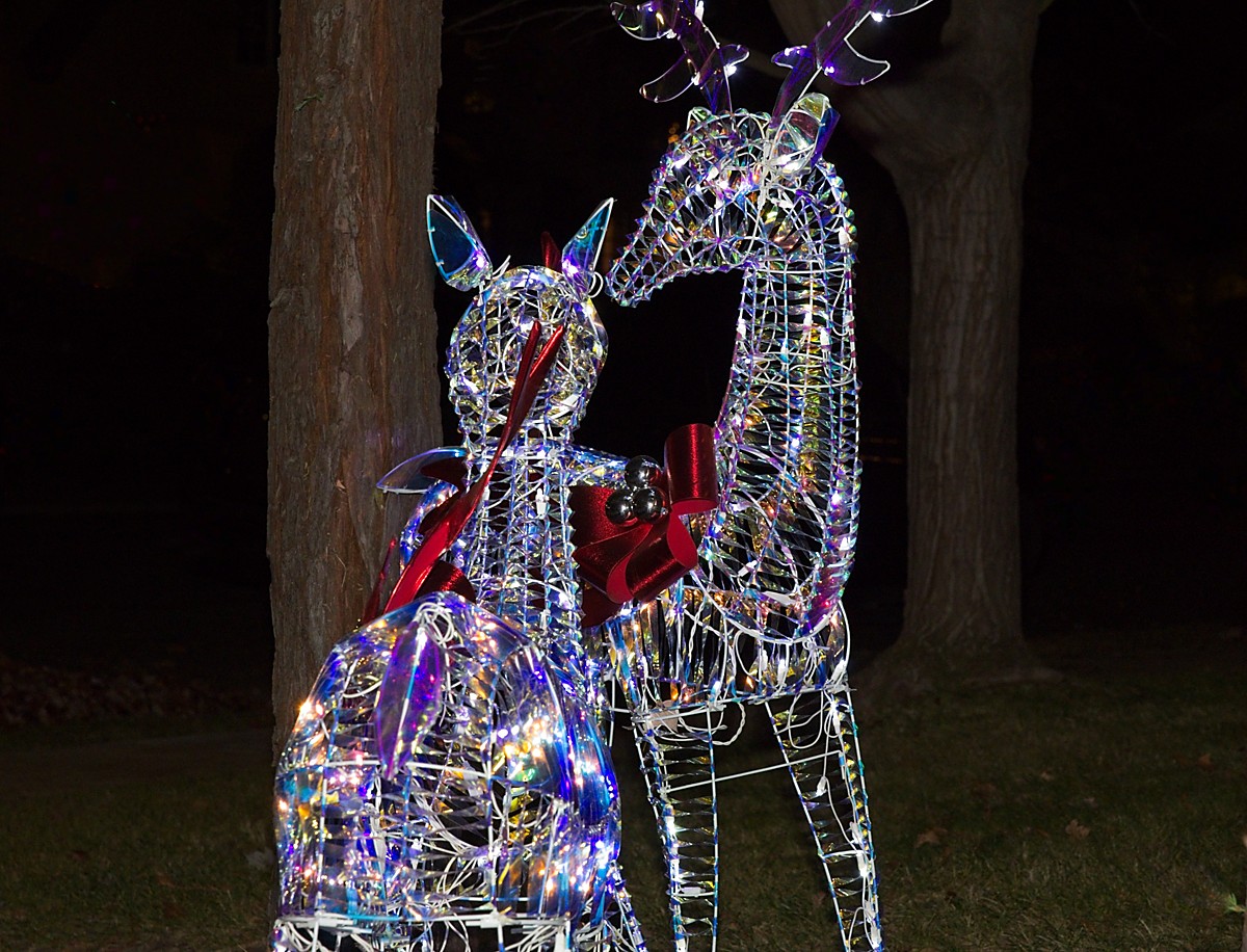 Fab 40 Christmas lights Sacramento's Fab 40s neighborhood were all