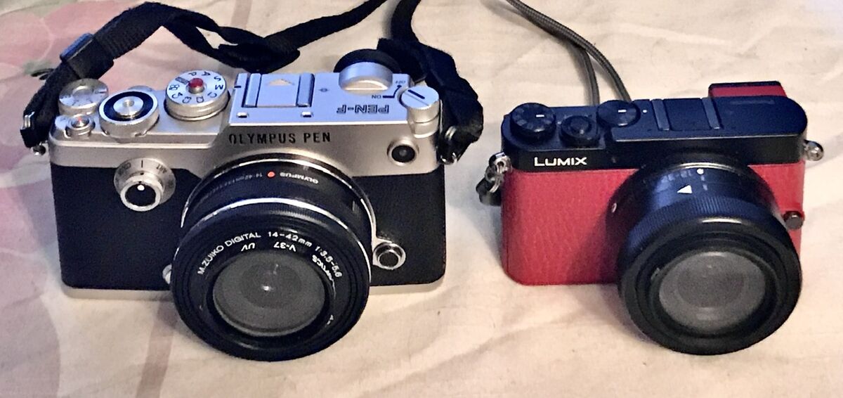 Both are m4/3 with 37mm filters...