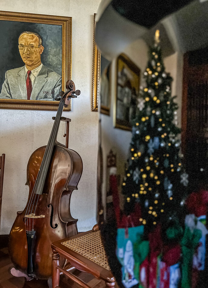 Cello, Tree, on the Piano. 3 elements covered. lol...