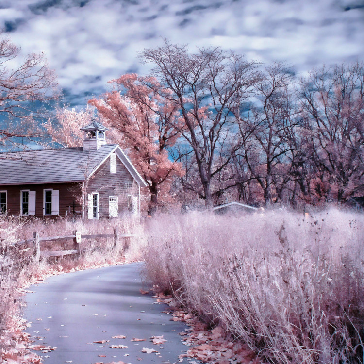 false-color-infrared-little-red-schoolhouse-expansive-nature-center