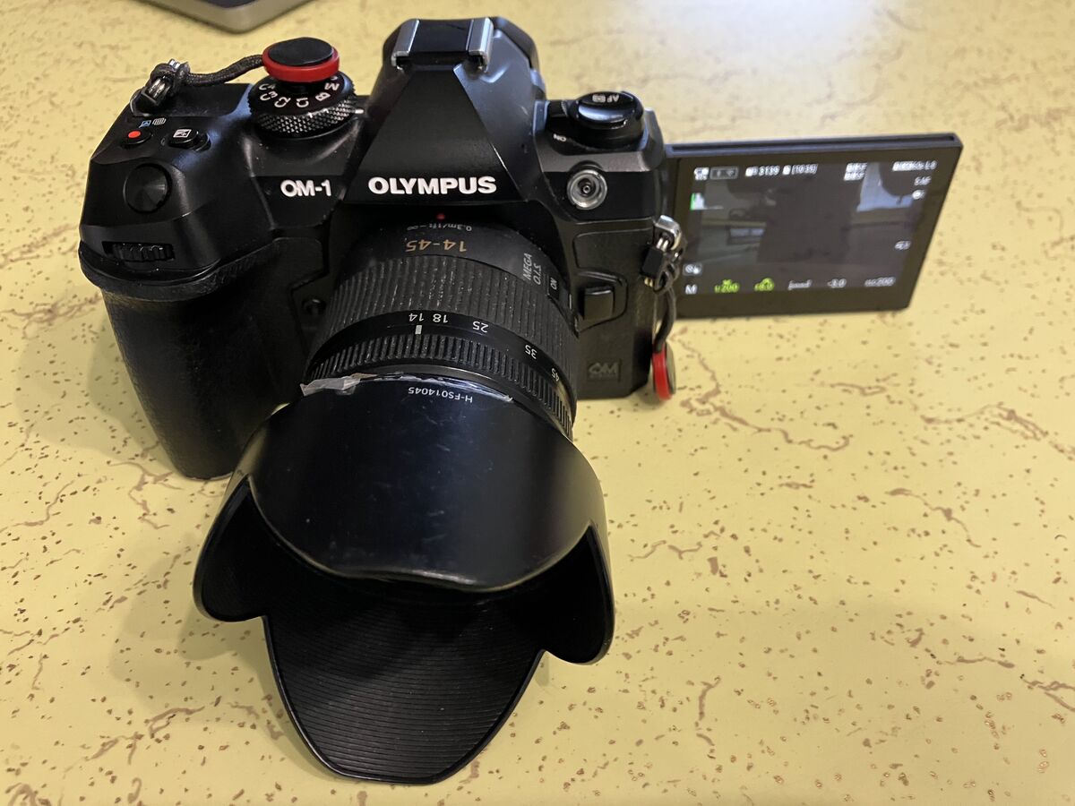 Can be flipped forward for composing group shots w...